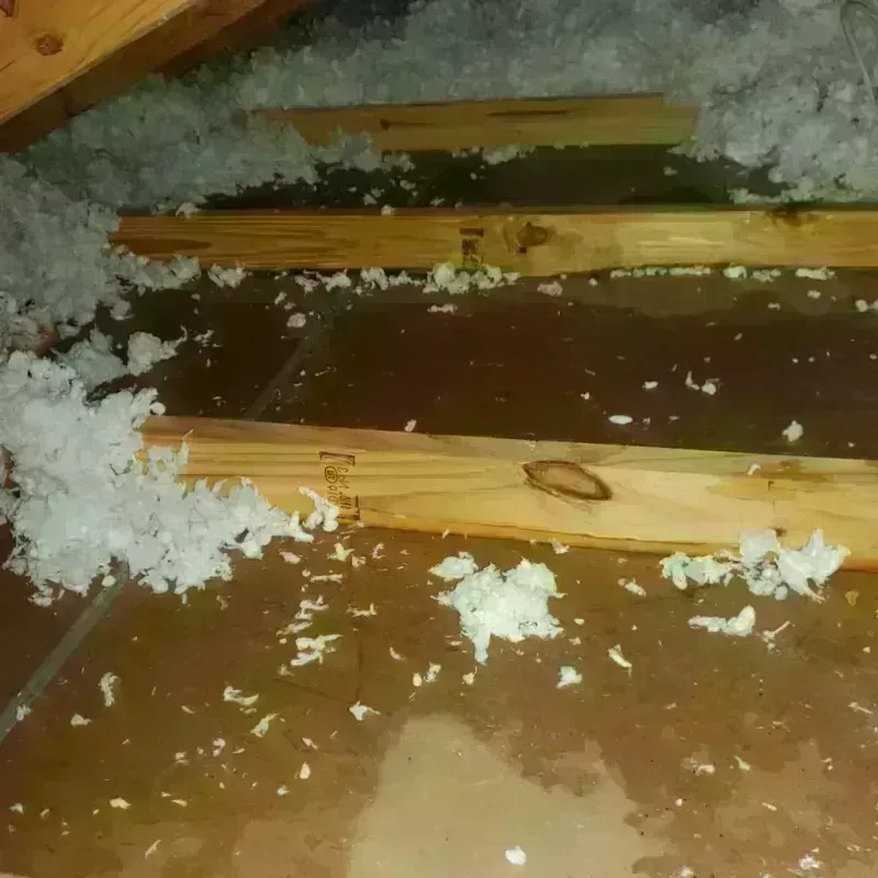 Attic Water Damage in Pole Ojea, PR